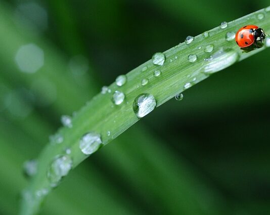 Czy pościel Po zakupie należy wyprać?