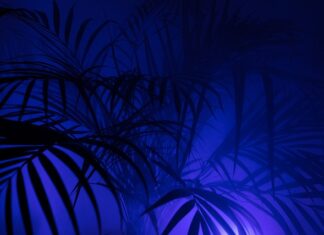 Jaki materiał na legginsy dla dzieci?