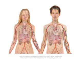 Czy czerwona herbata szkodzi na nerki?