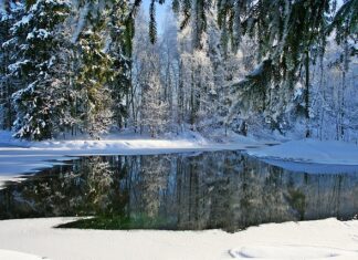 Jakie obuwie jest dobre na mrozy?