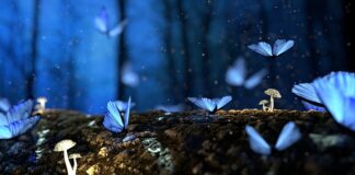 Czy drewno Gniję w betonie?