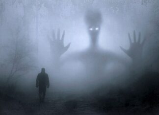 Gdzie można kupić dekoracje na Halloween?